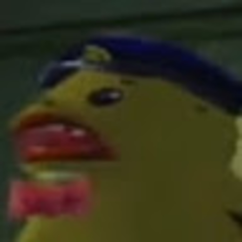 Meet your Posher, Slade